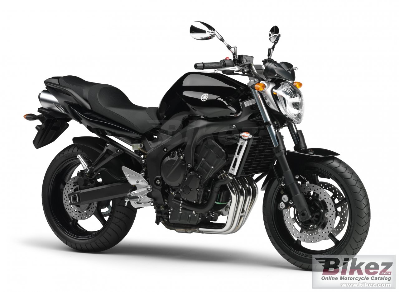 Big Yamaha fz6 s2 picture and wallpaper from Bikez.com